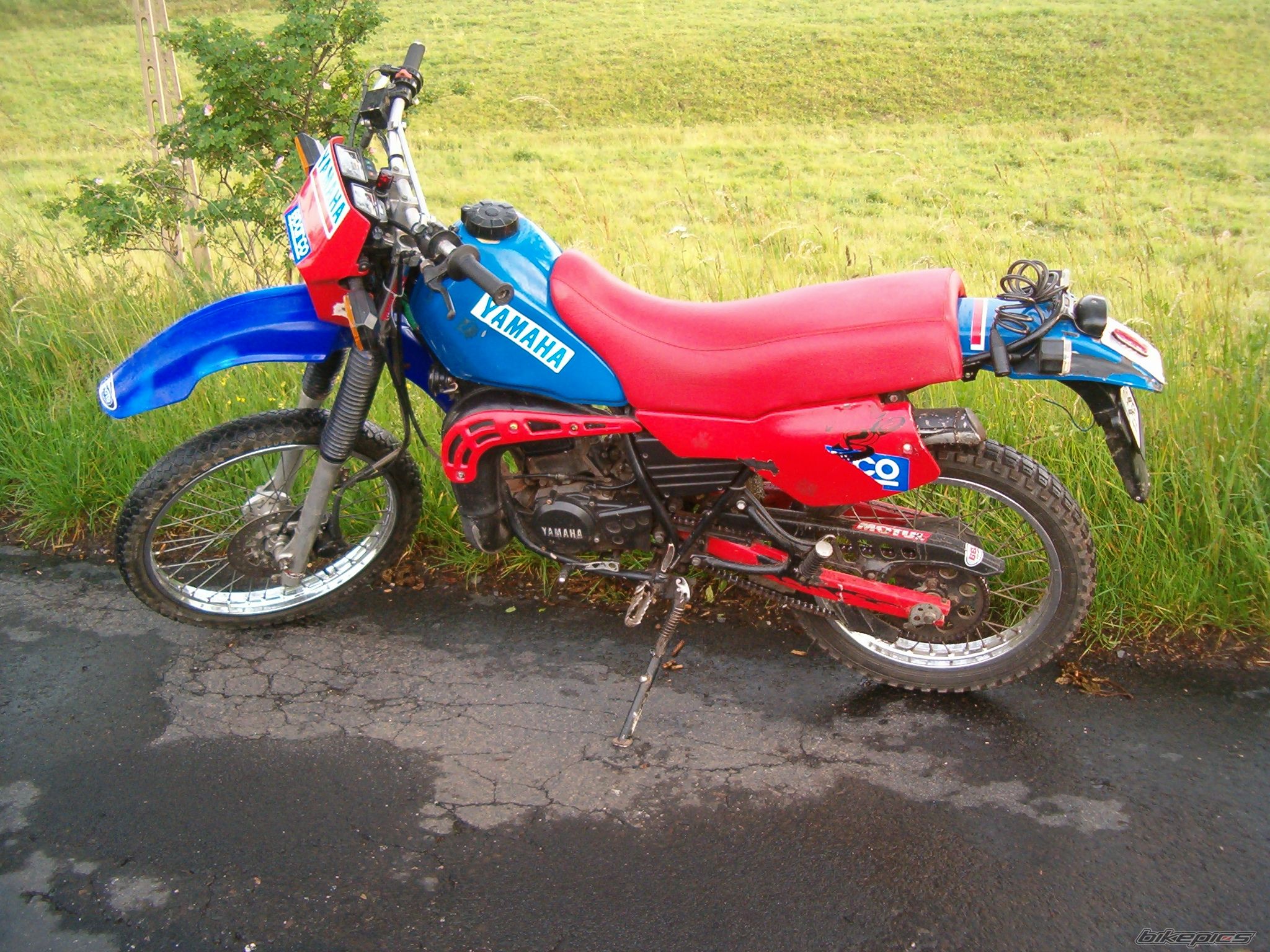 Photo 1231356