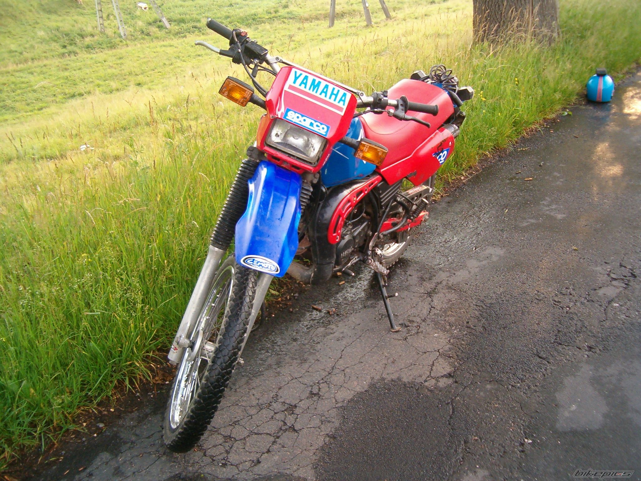 Photo 1231364