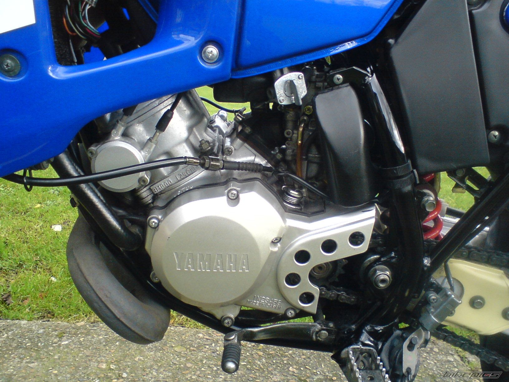 Photo 1231413