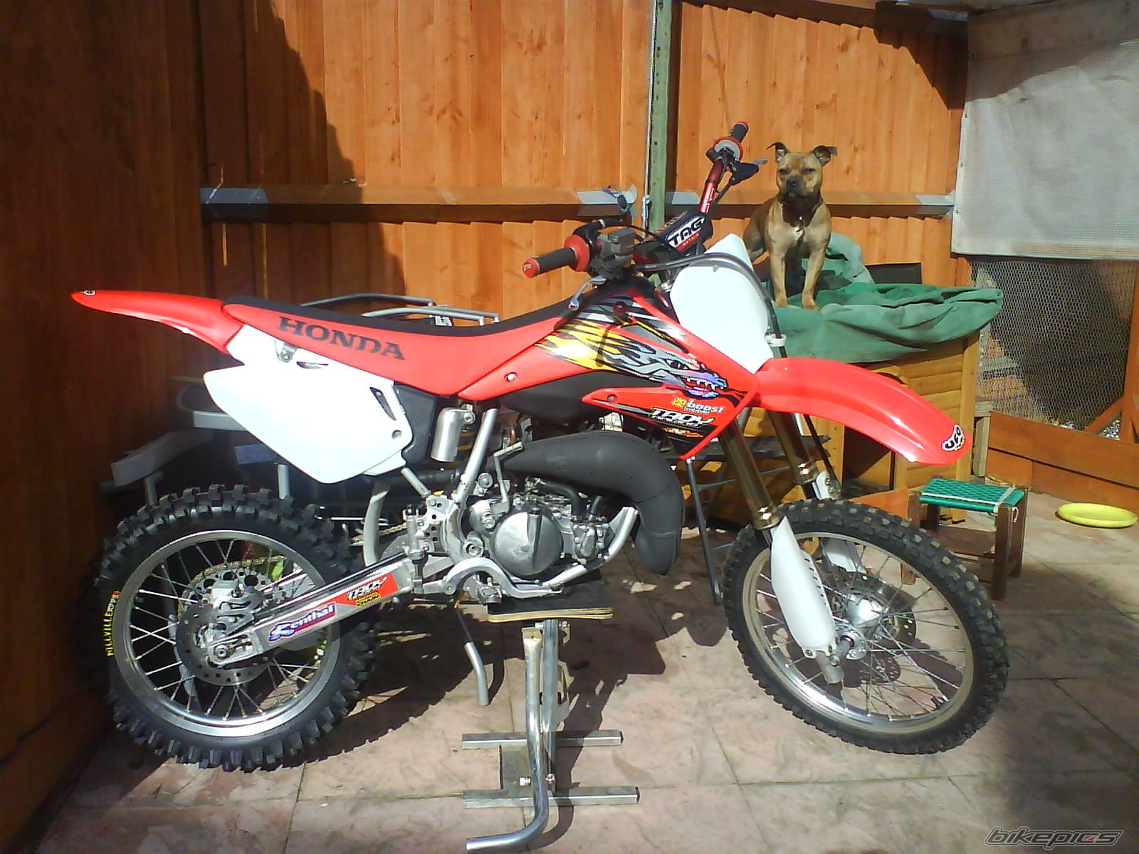 Photo 1231432