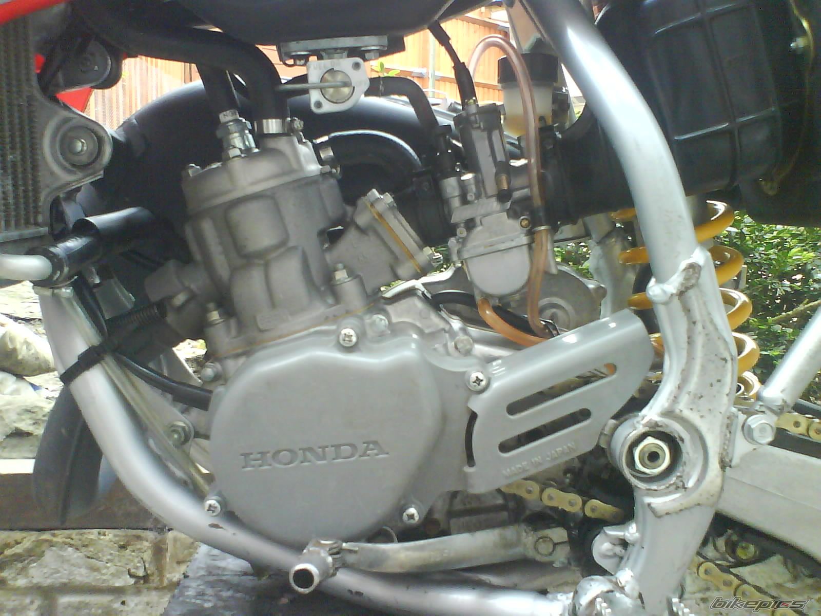 Photo 1231435