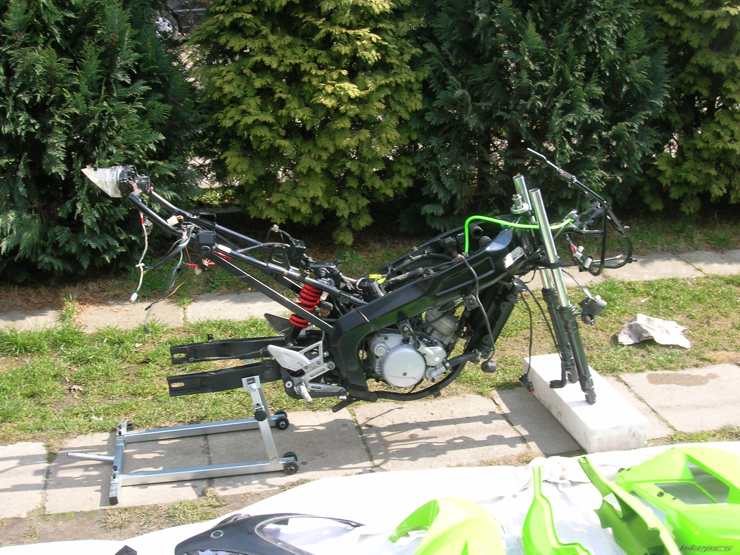 Photo 1231451
