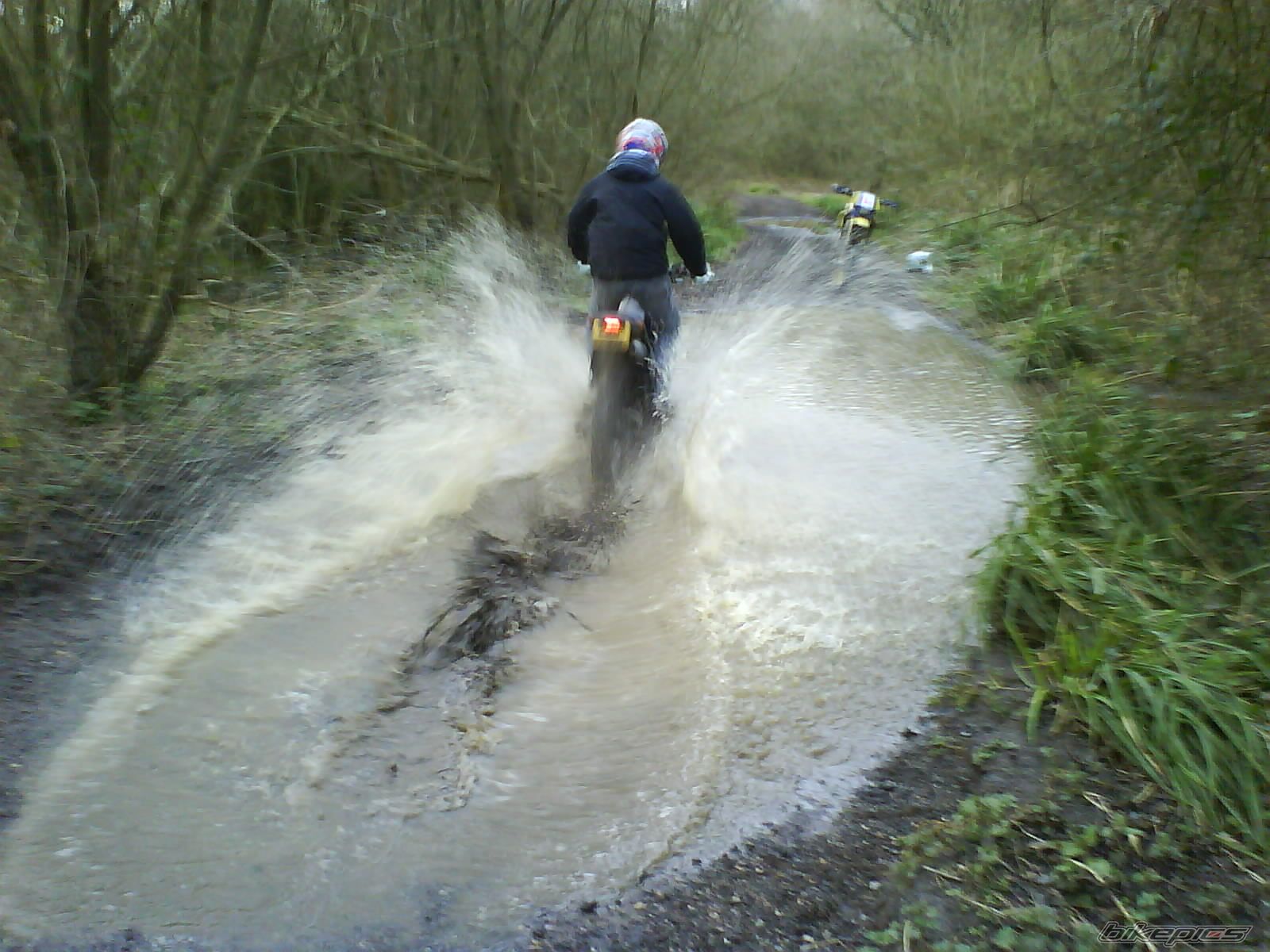 Photo 1231472