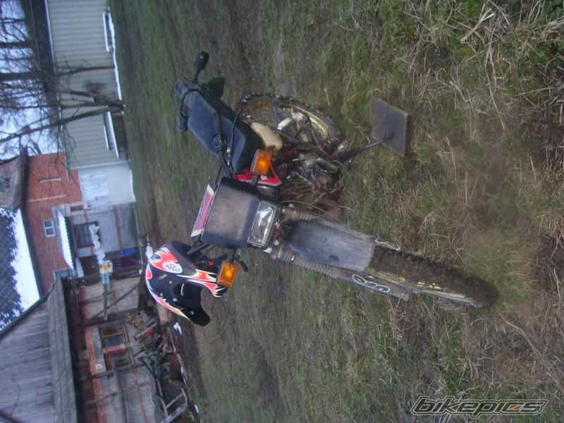 Photo 1231473