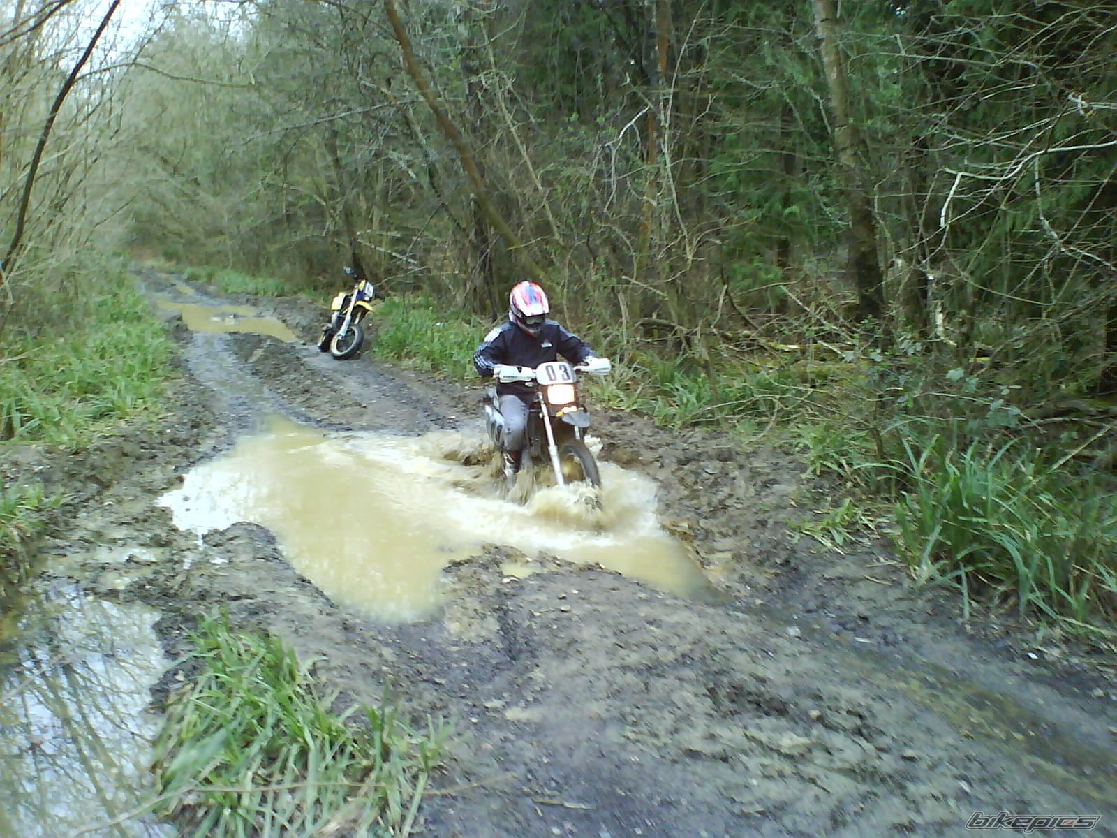 Photo 1231479