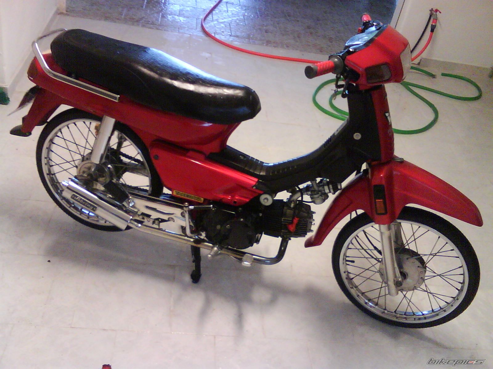 Photo 1231499