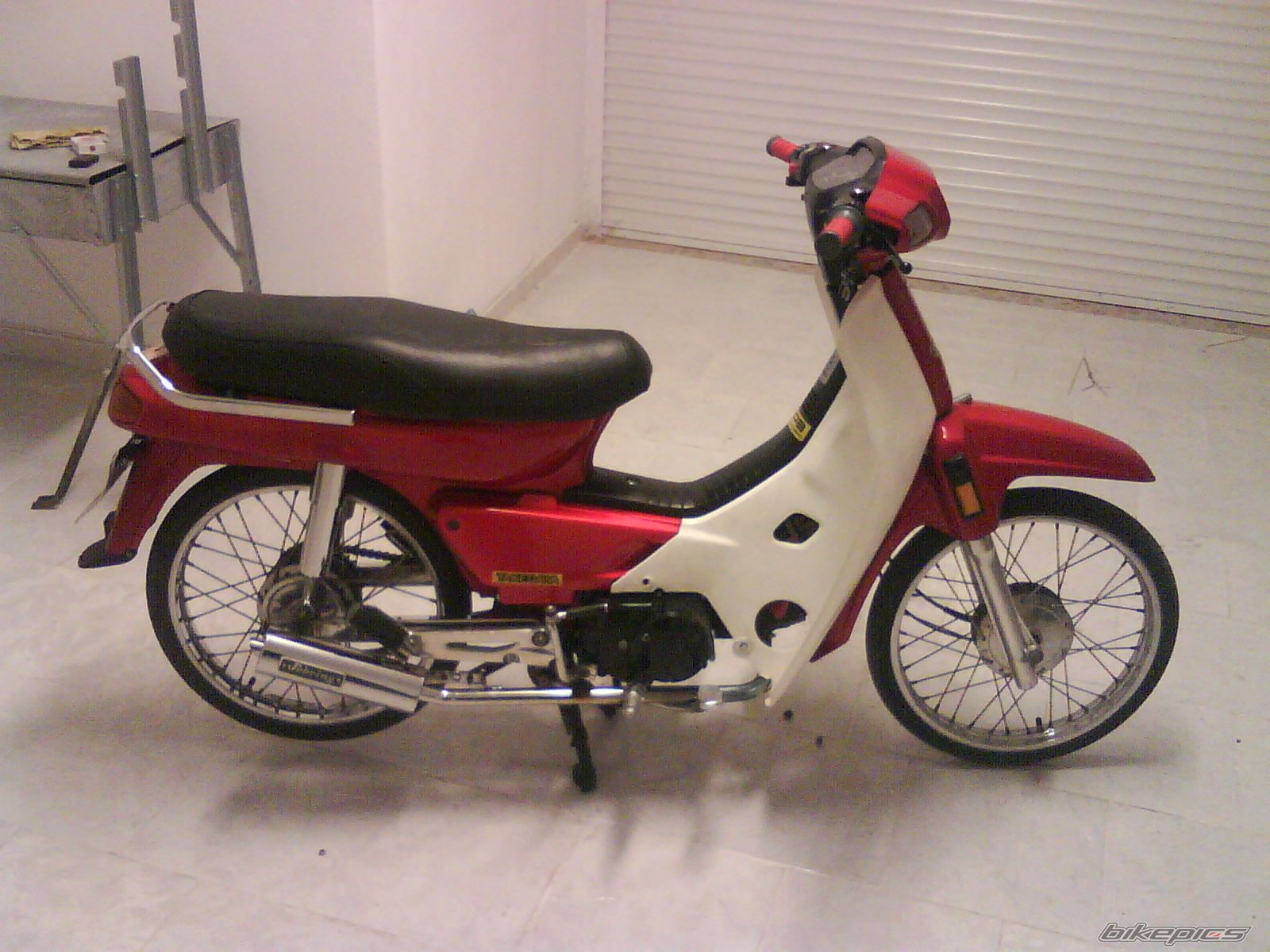 Photo 1231500
