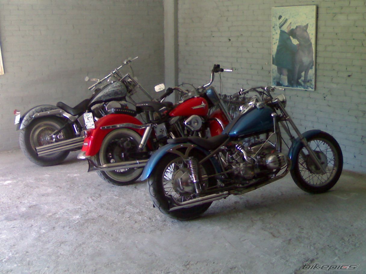 Photo 1231506