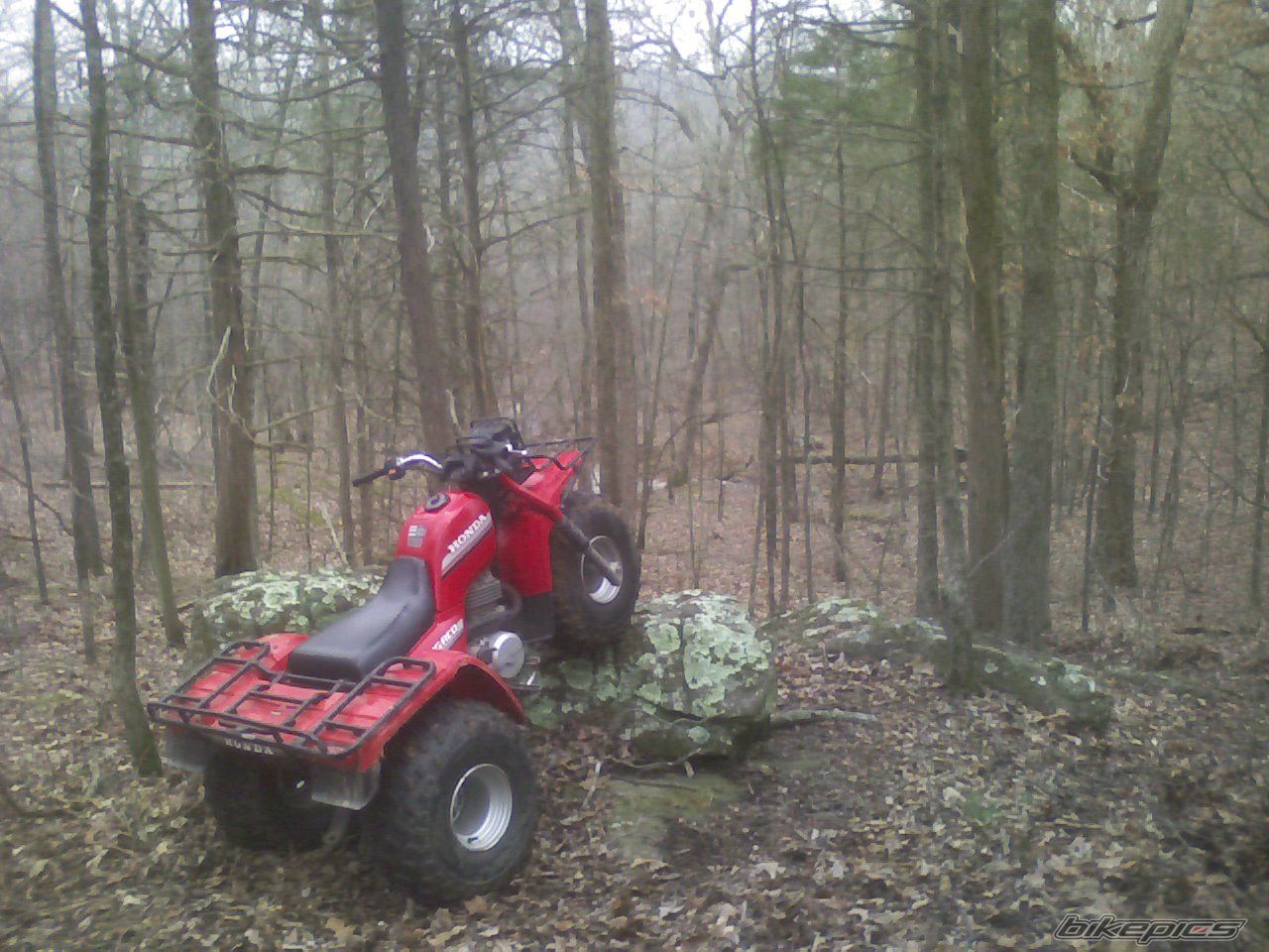 Bike Photo 1231521