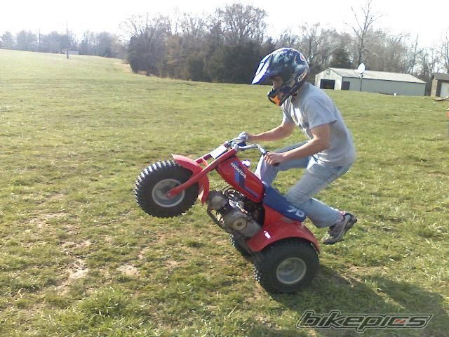 Photo 1231522