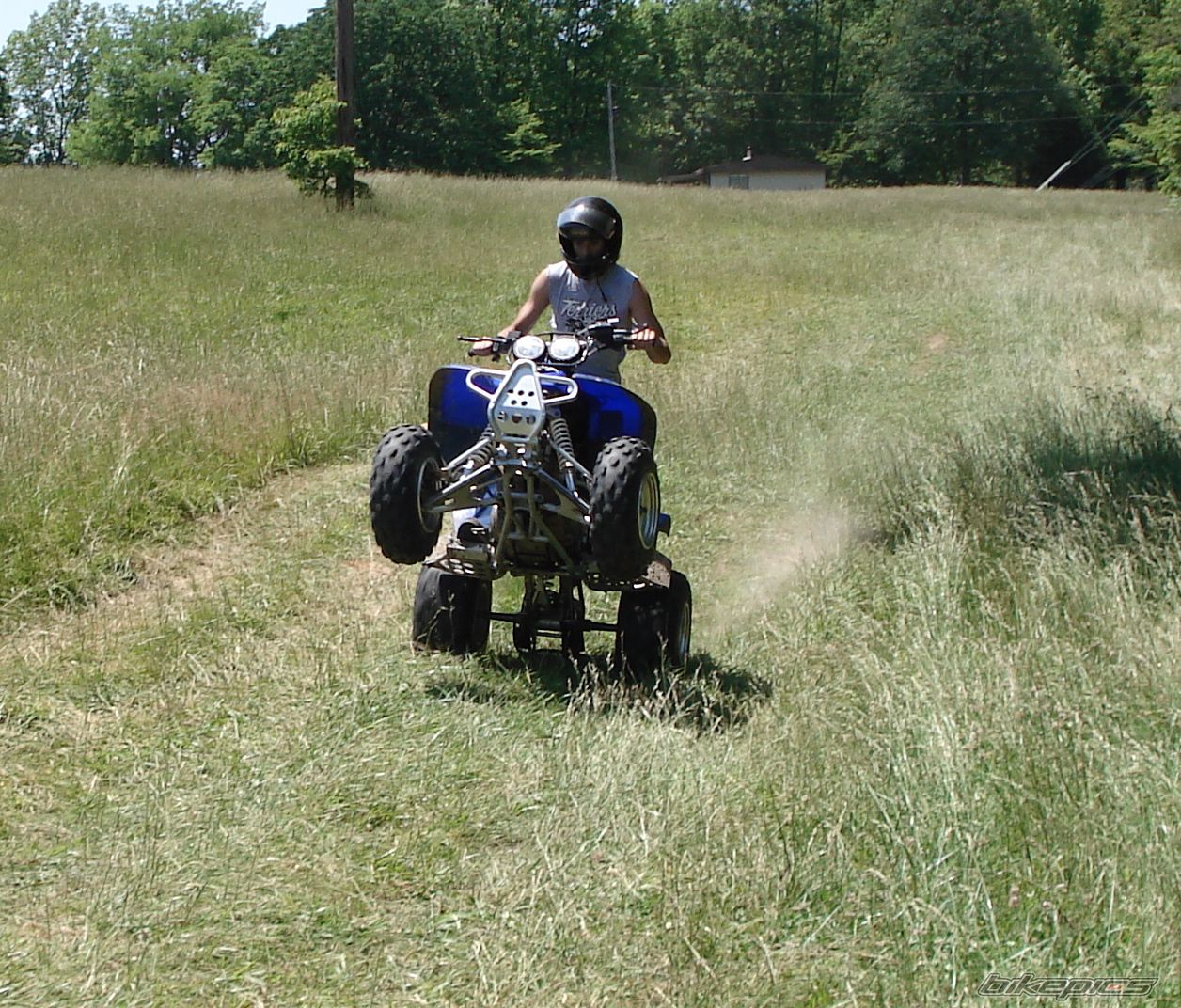 Photo 1231529