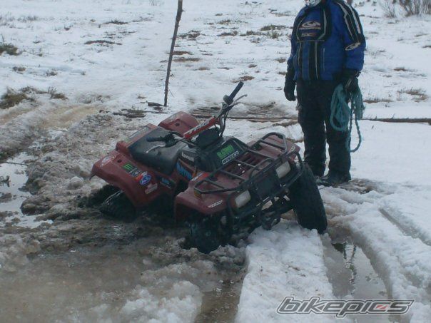 Photo 1231672