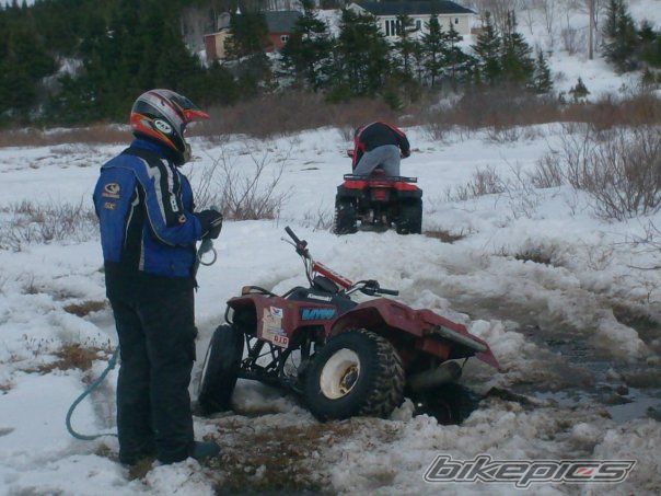 Photo 1231674