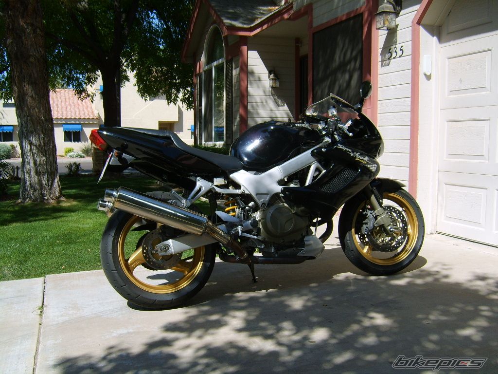 Photo 1231691