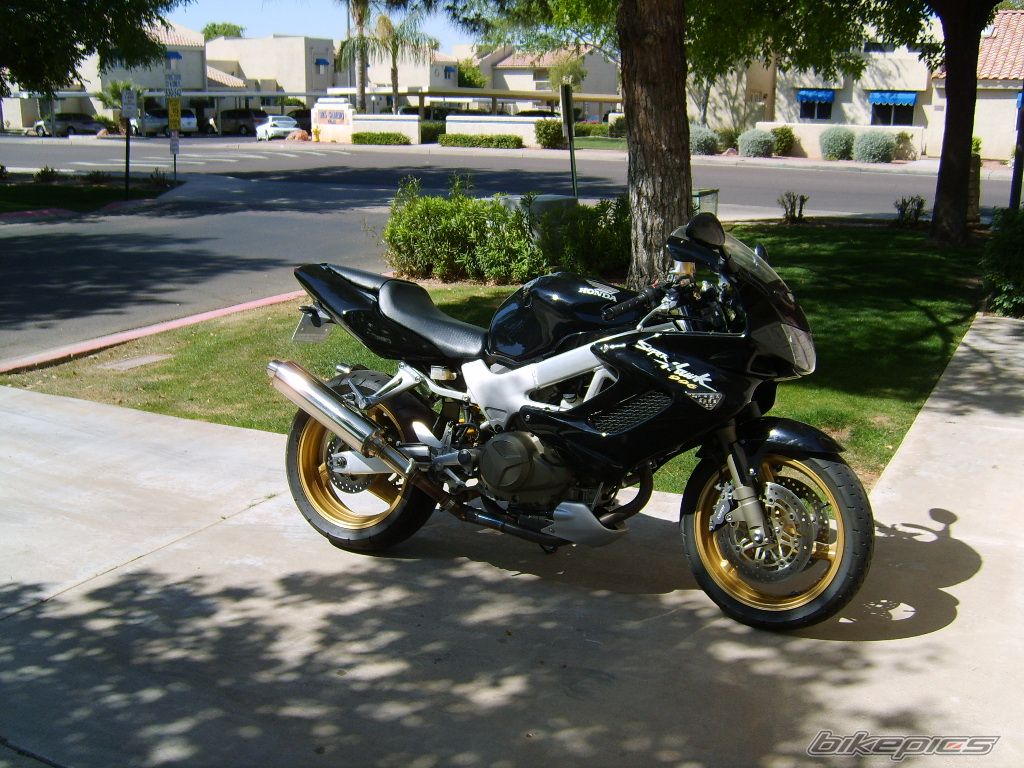 Photo 1231692