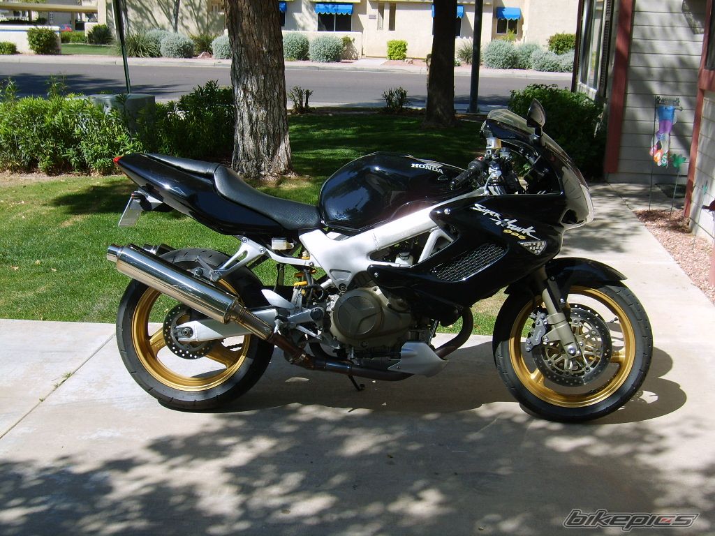 Photo 1231694