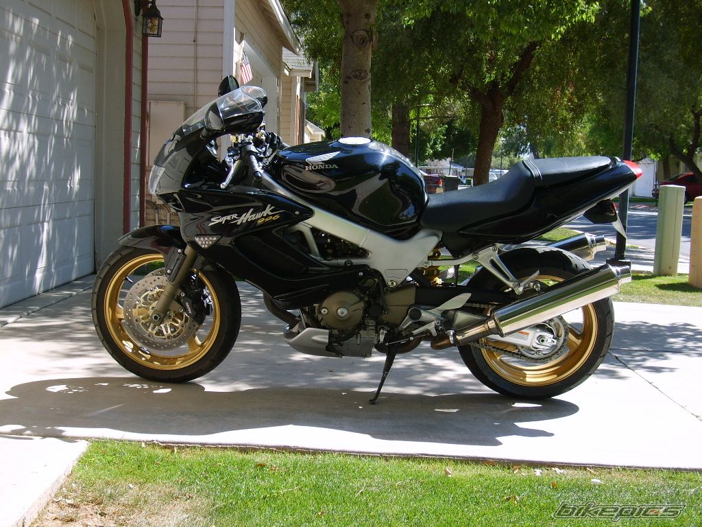 Photo 1231698