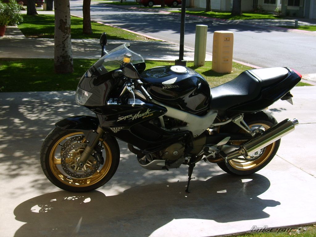 Photo 1231700