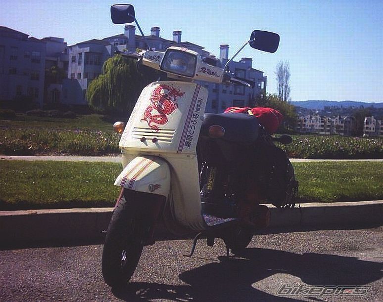 Photo 1231762