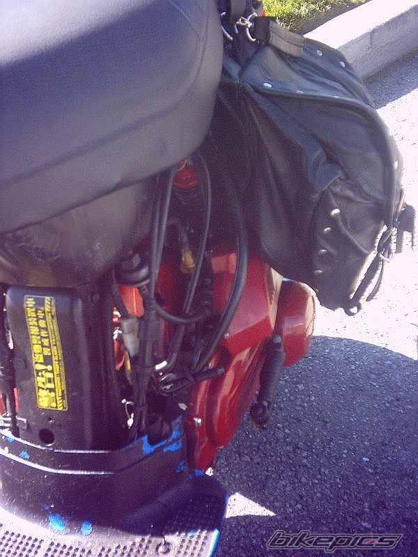 Photo 1231766