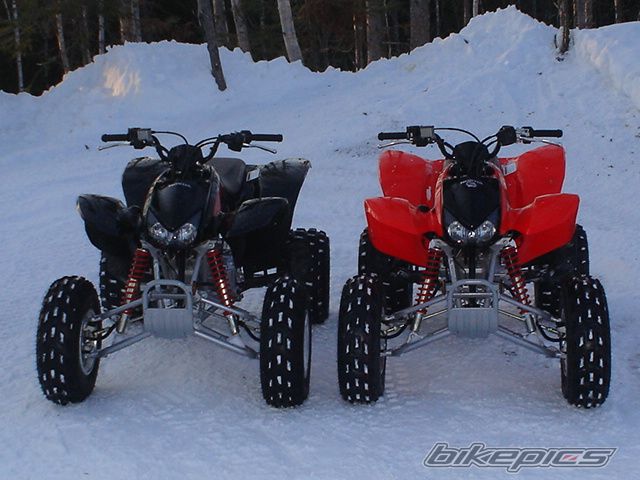Photo 1231788
