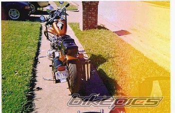 Photo 1231812
