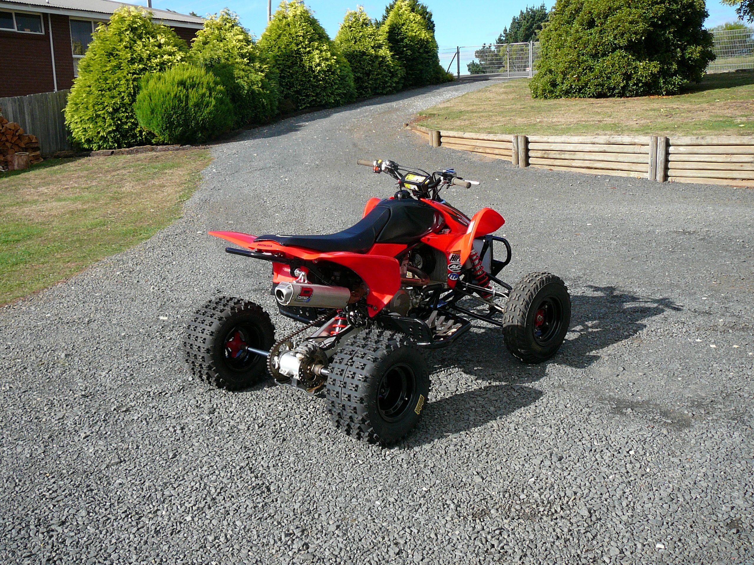 Photo 1231863