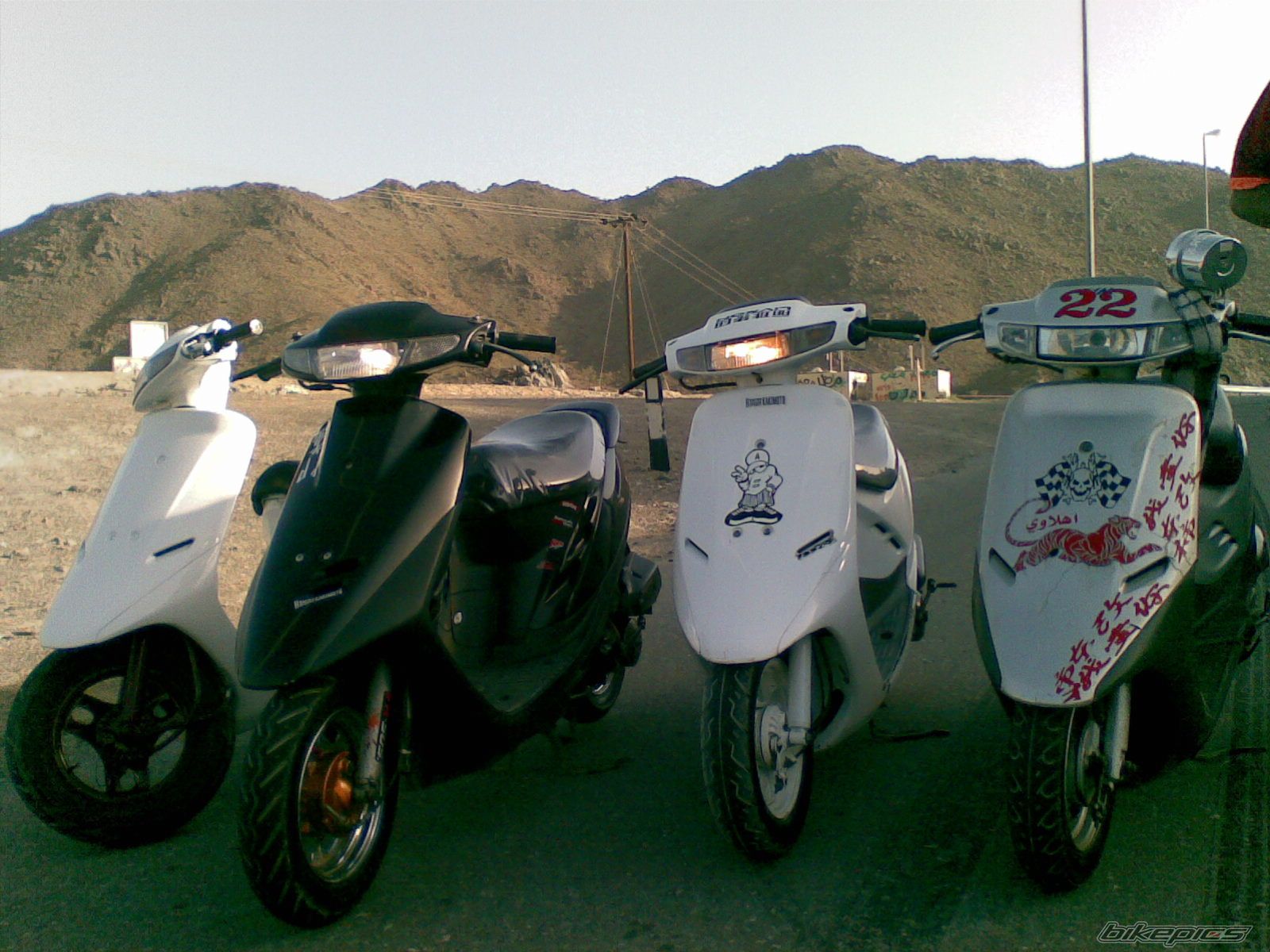 Photo 1231864