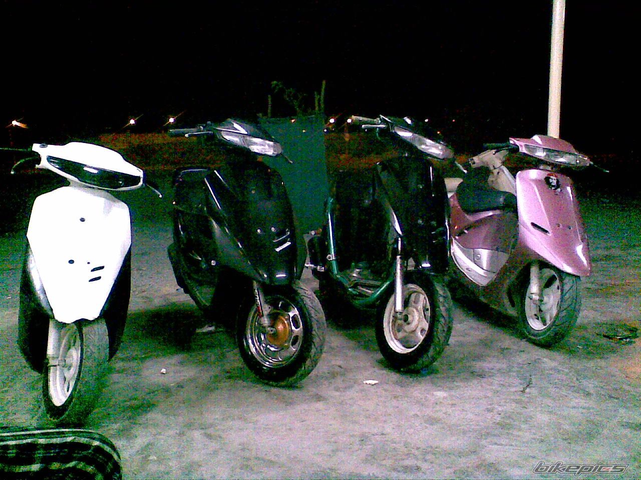 Photo 1231871
