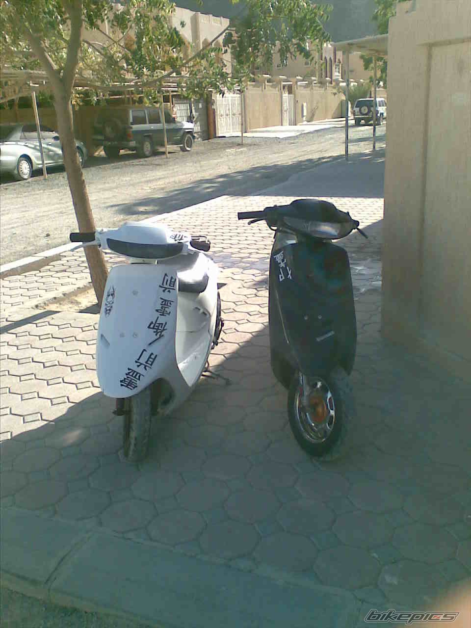 Photo 1231872