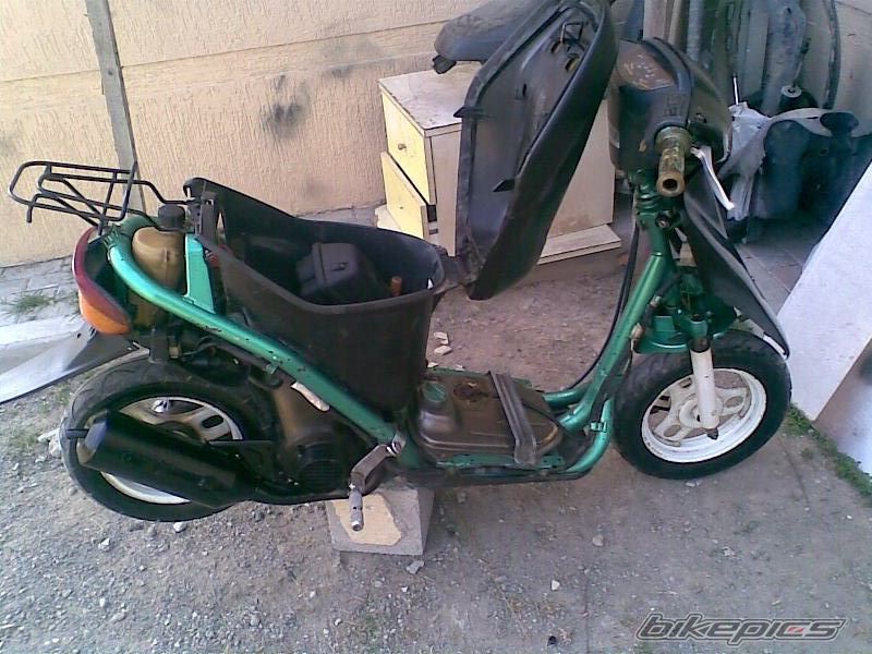 Photo 1231873