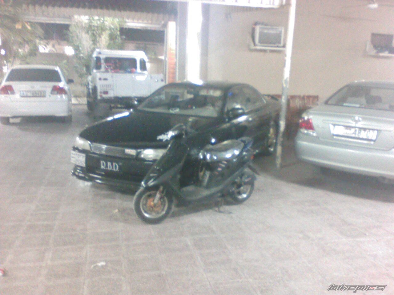 Photo 1231874