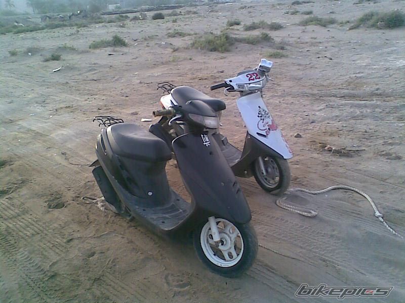 Photo 1231876
