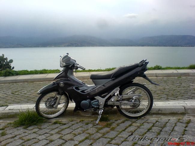 Photo 1231890