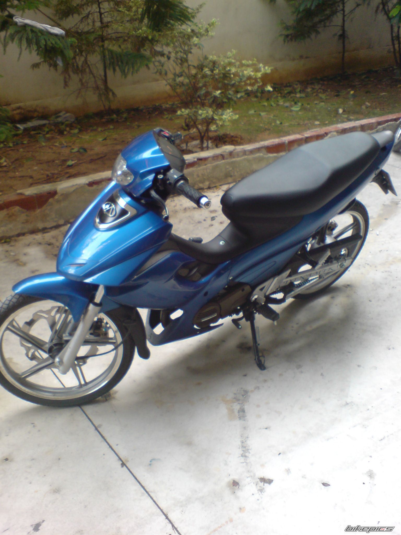 Photo 1231986
