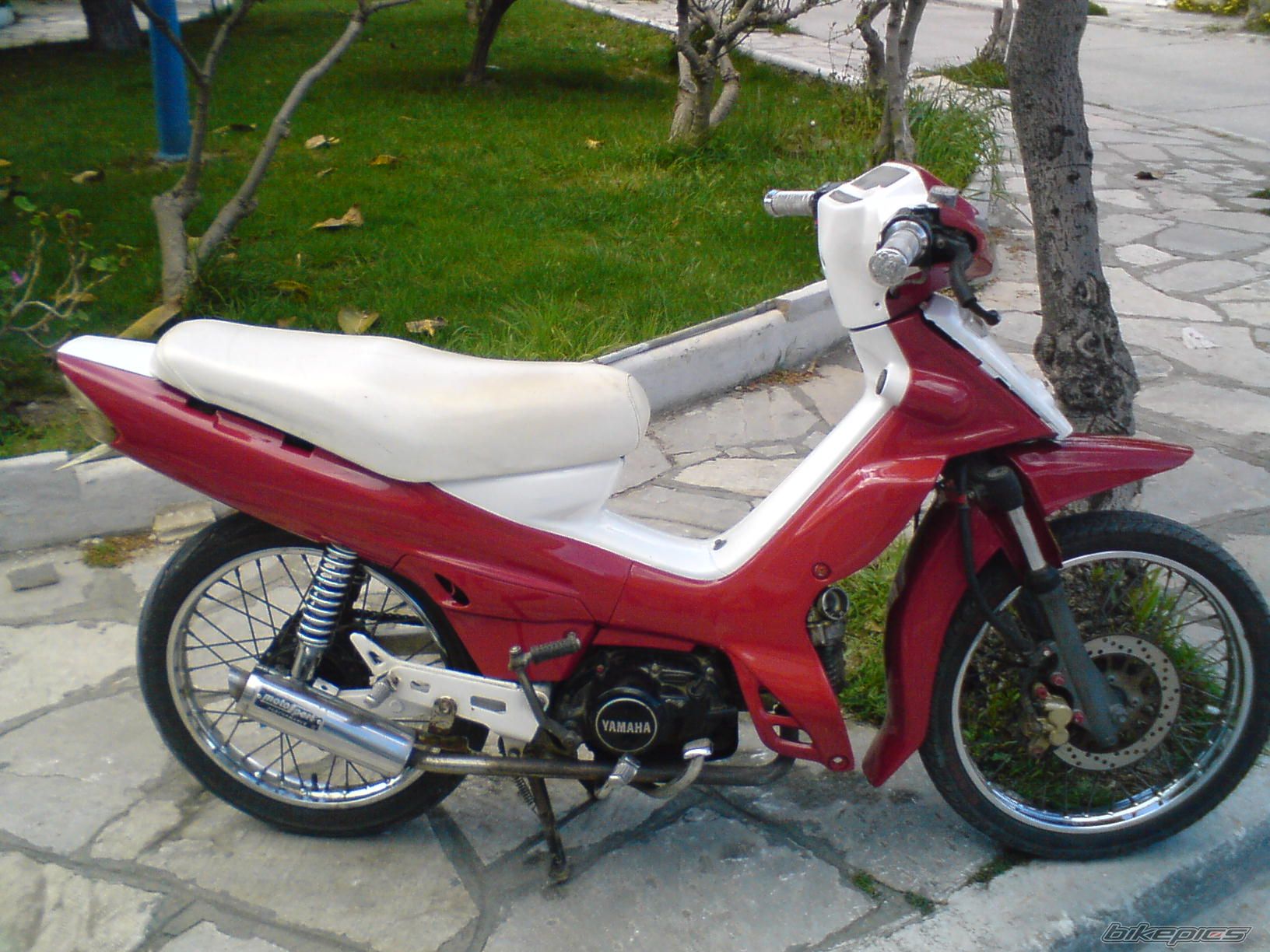 Photo 1232007