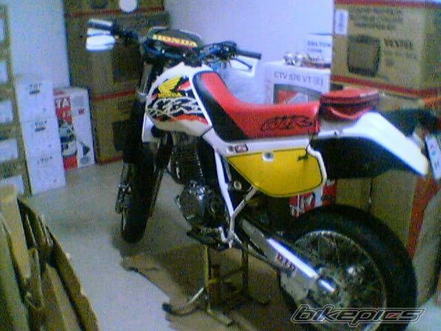 Photo 123202