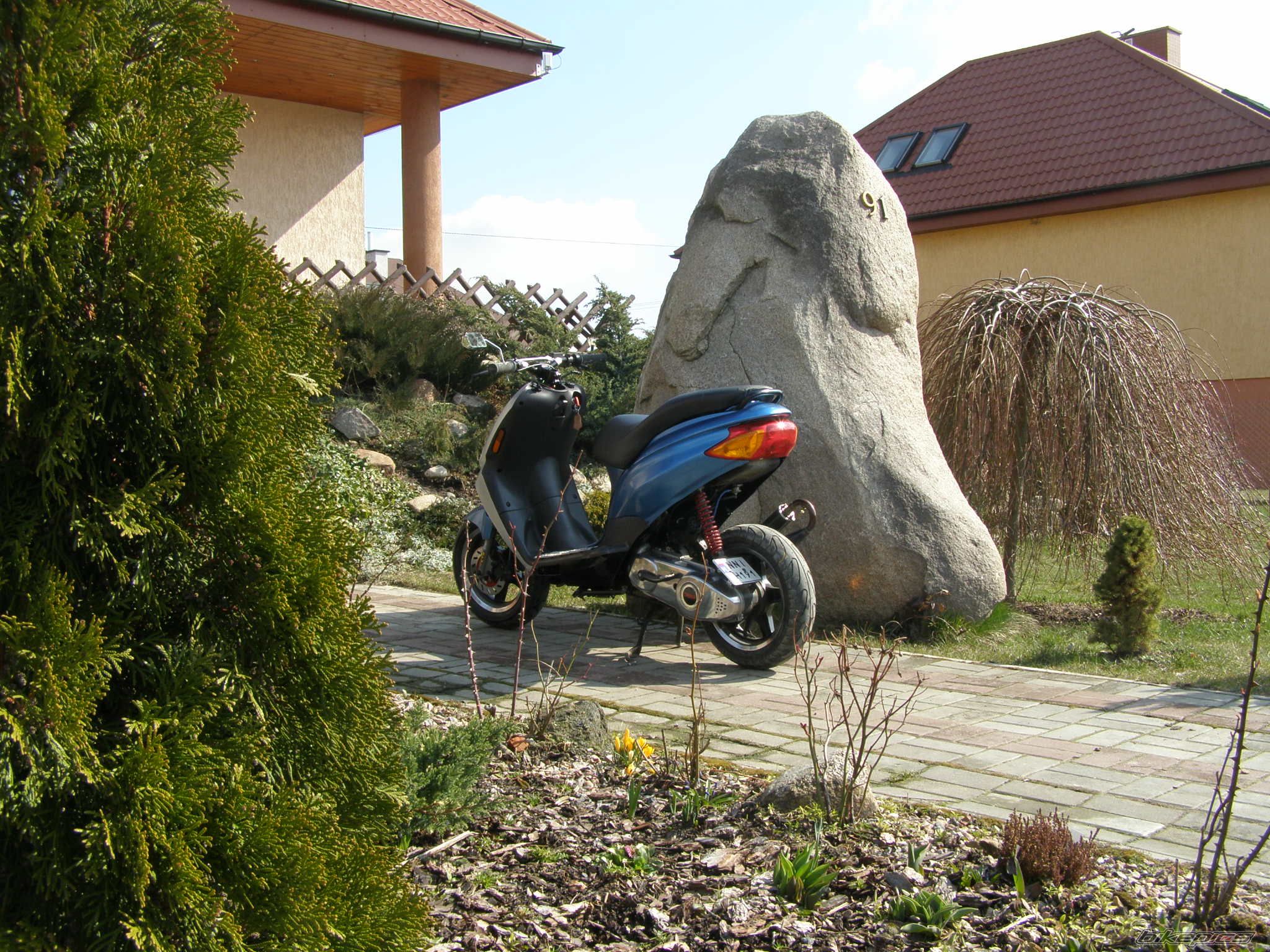 Photo 1232025