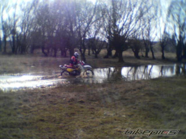 Photo 123203