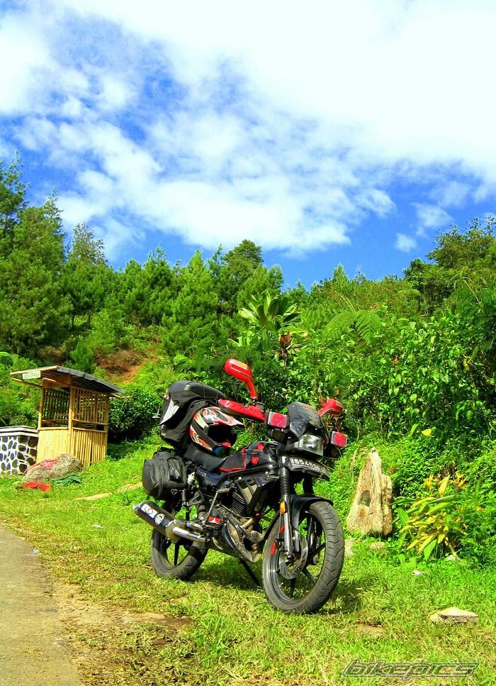Bike Photo 1232078