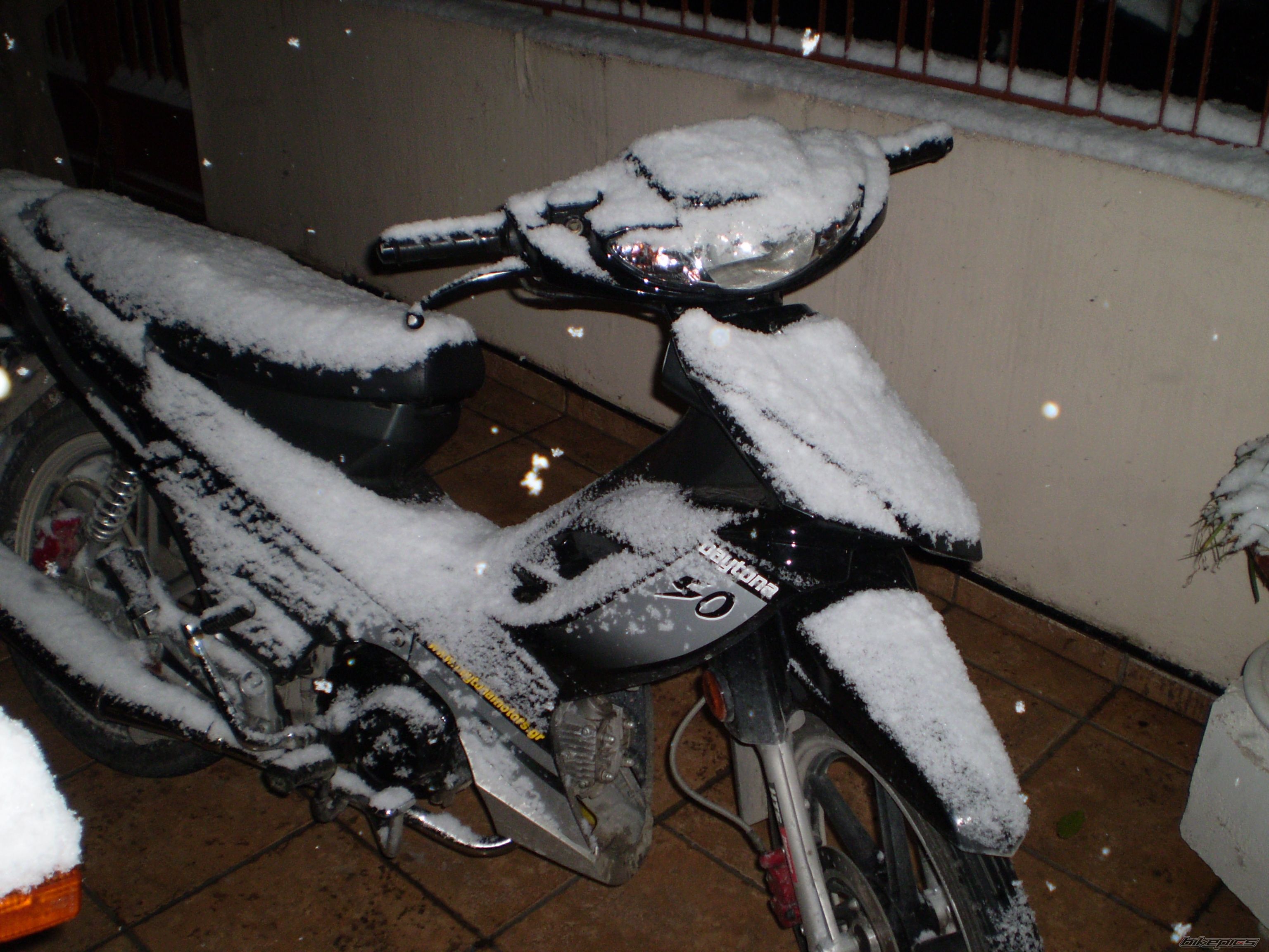 Photo 1232091