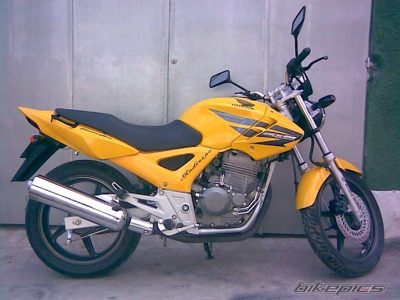 Photo 1232111