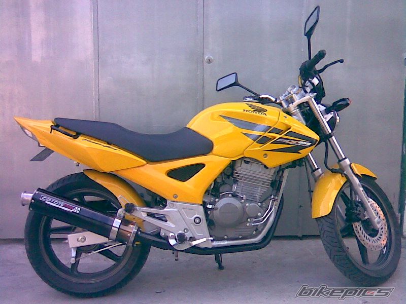 Photo 1232120