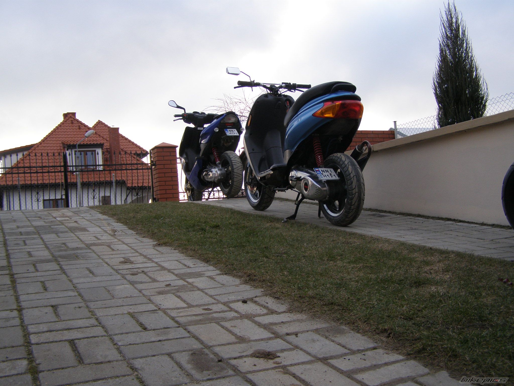 Photo 1232182