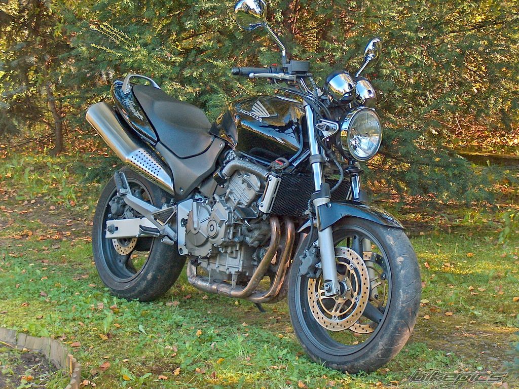 Photo 1232289