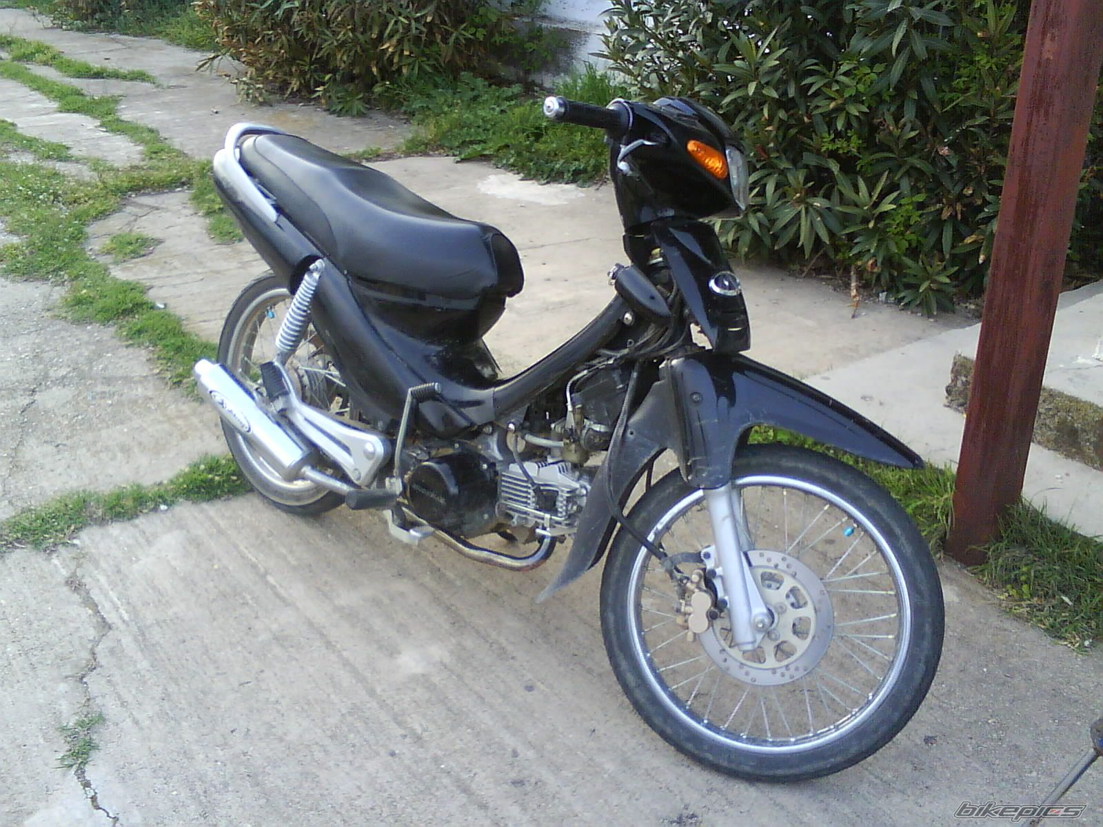 Photo 1232312