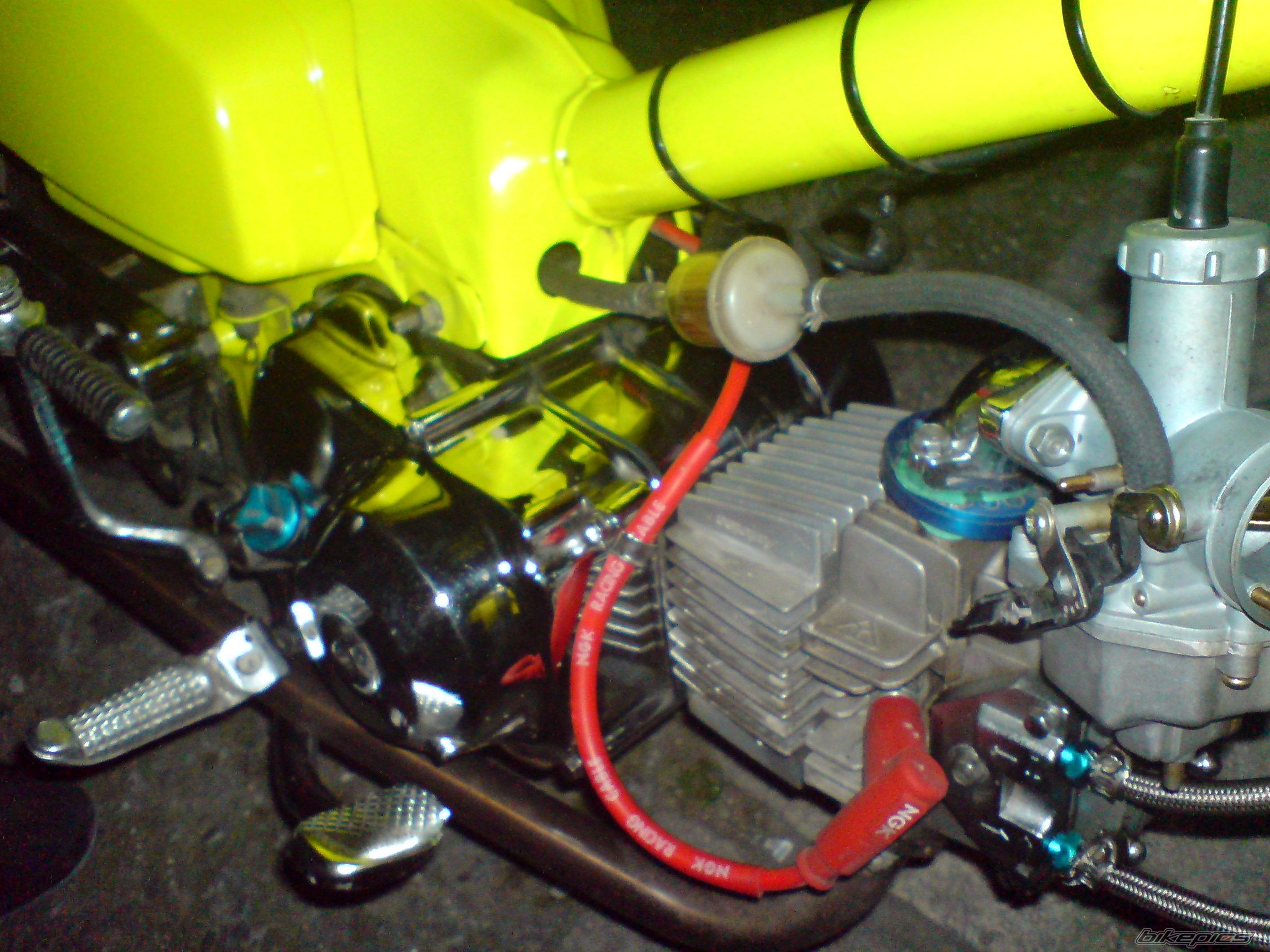 Photo 1232334