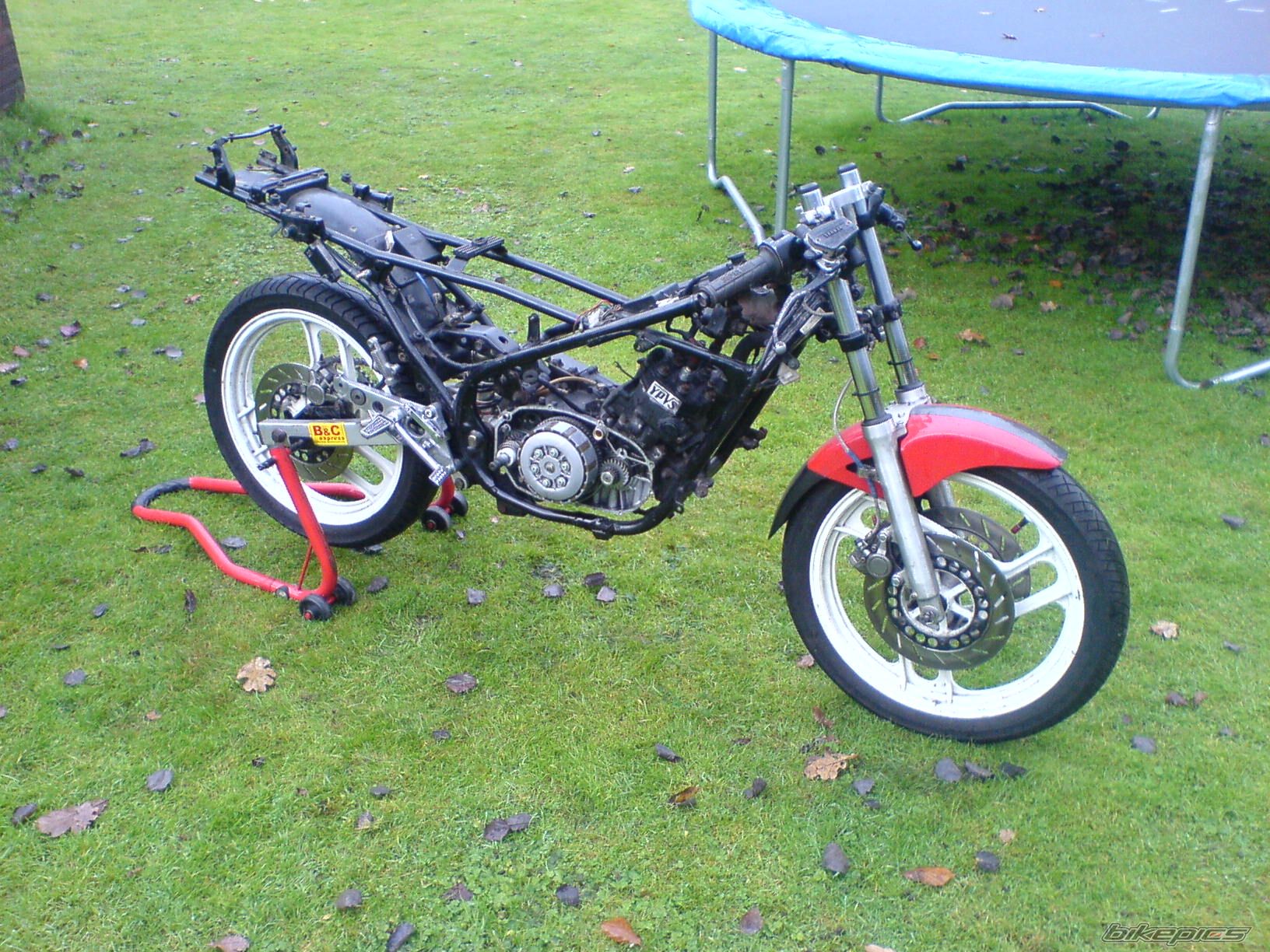 Photo 1232337