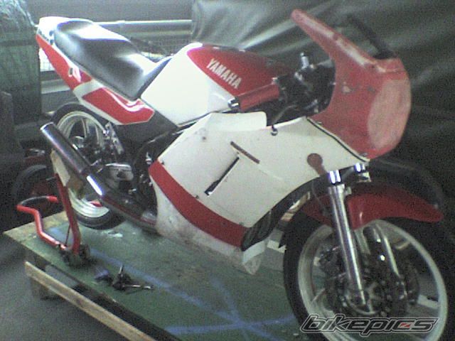 Photo 1232371