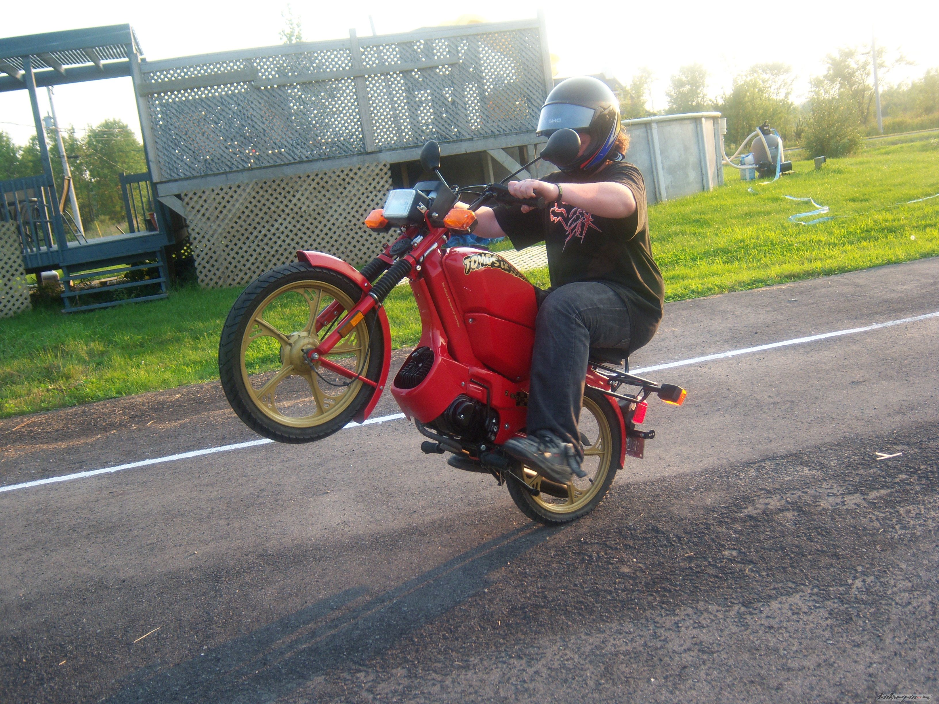 Photo 1232575